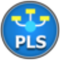 SmartPLS P