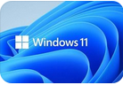 Windows 11