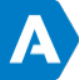 ASM Visual
