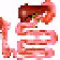 GastroPlus