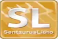 Synopsys S