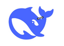 DeepSeek��ǿ��APP v2.5.2 ��roo